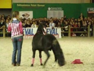 Salon du cheval