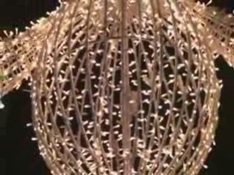 Illuminations à chalon fete des lumières