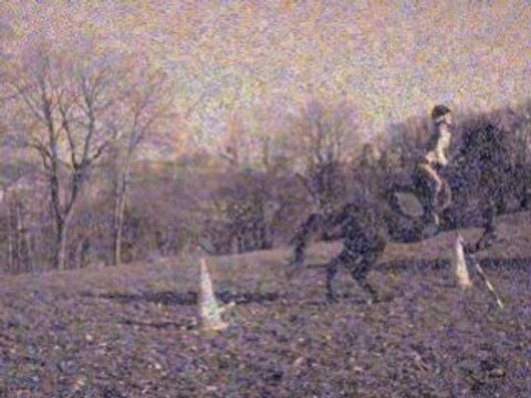 Nos 1er sauts de puce