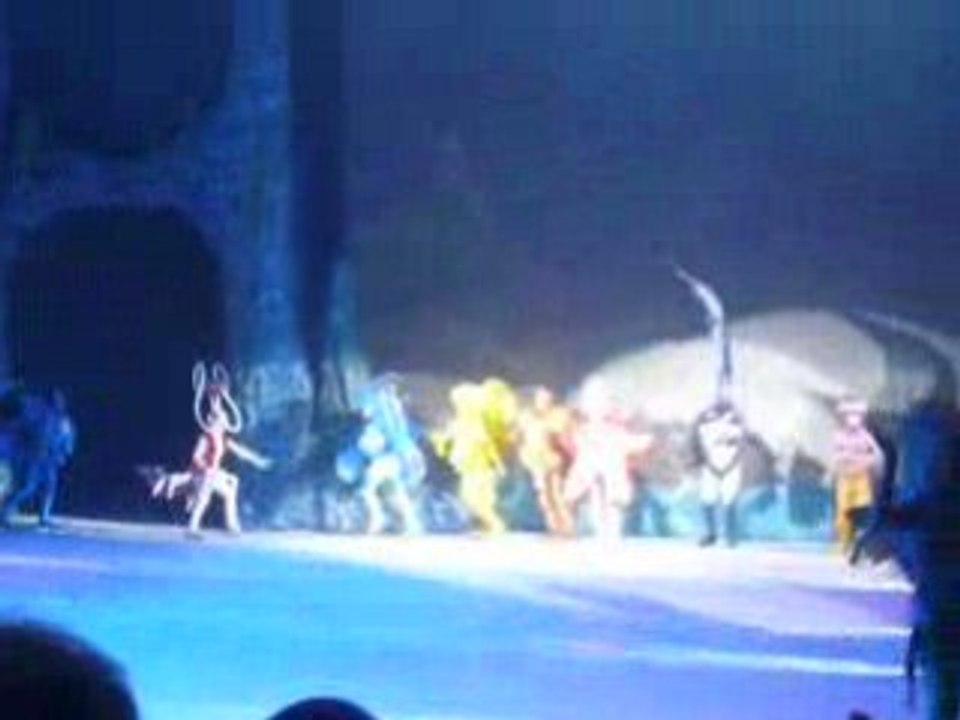 final spectacle nemo