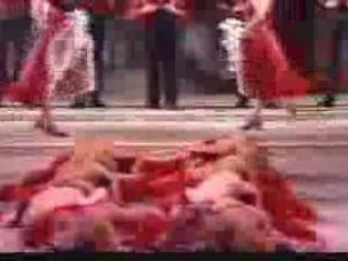 Florida Burl Wood Deck Fun