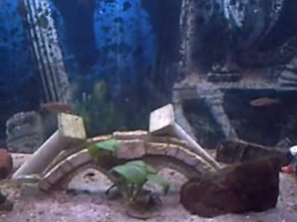 CLIP0001