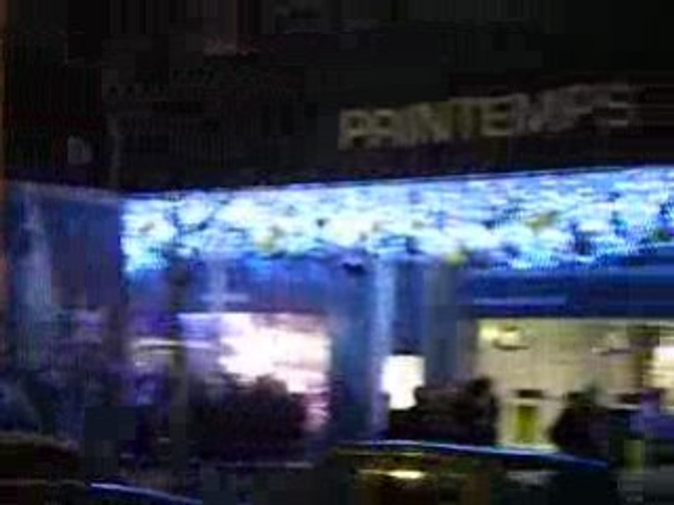 Le Printemps illumine Paris de mille feux