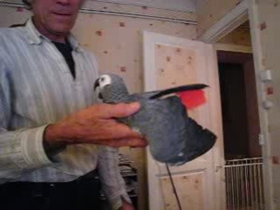 Oscar