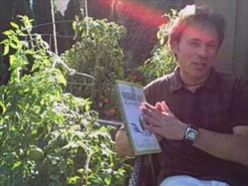 Healthy Weight Loss with Hypnosis | Hypnotherapy Weight Loss