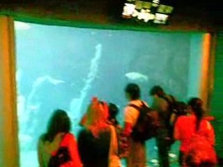 UQAM - Passeio no Biodome