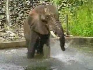 sri lanka national zoological gardens dehiwala