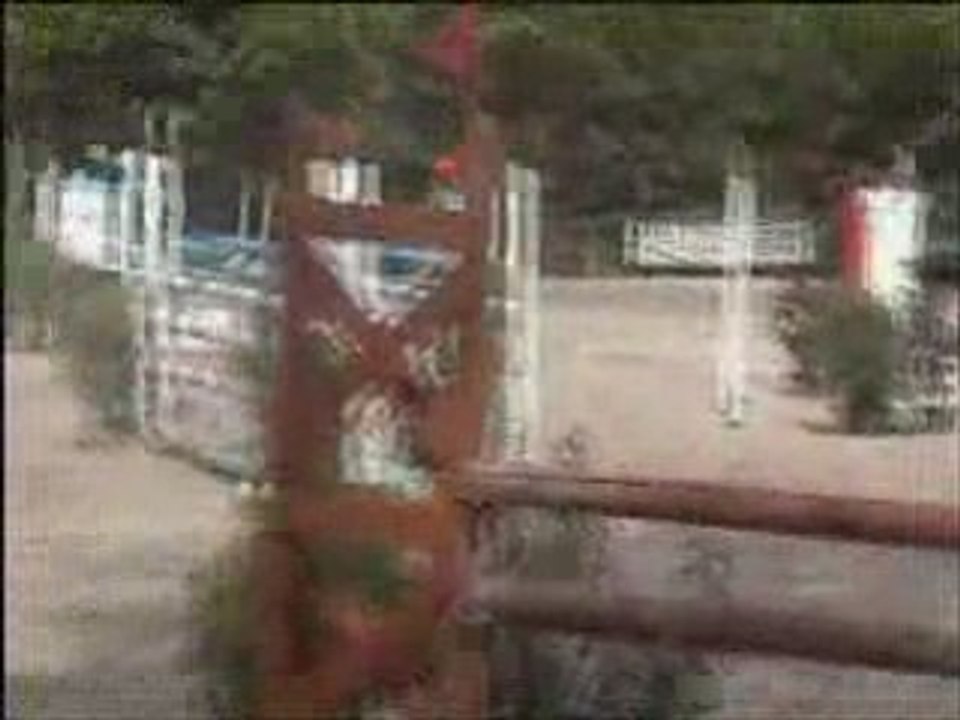 Cheval de CSO SF à vendre (WWW.EQUIRODI.COM)