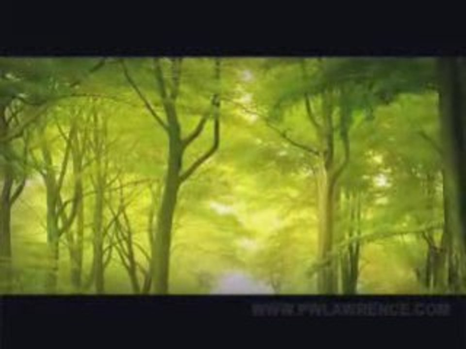 Creation