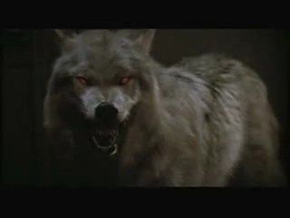 FRIGHT NIGHT - Theatrical Trailer