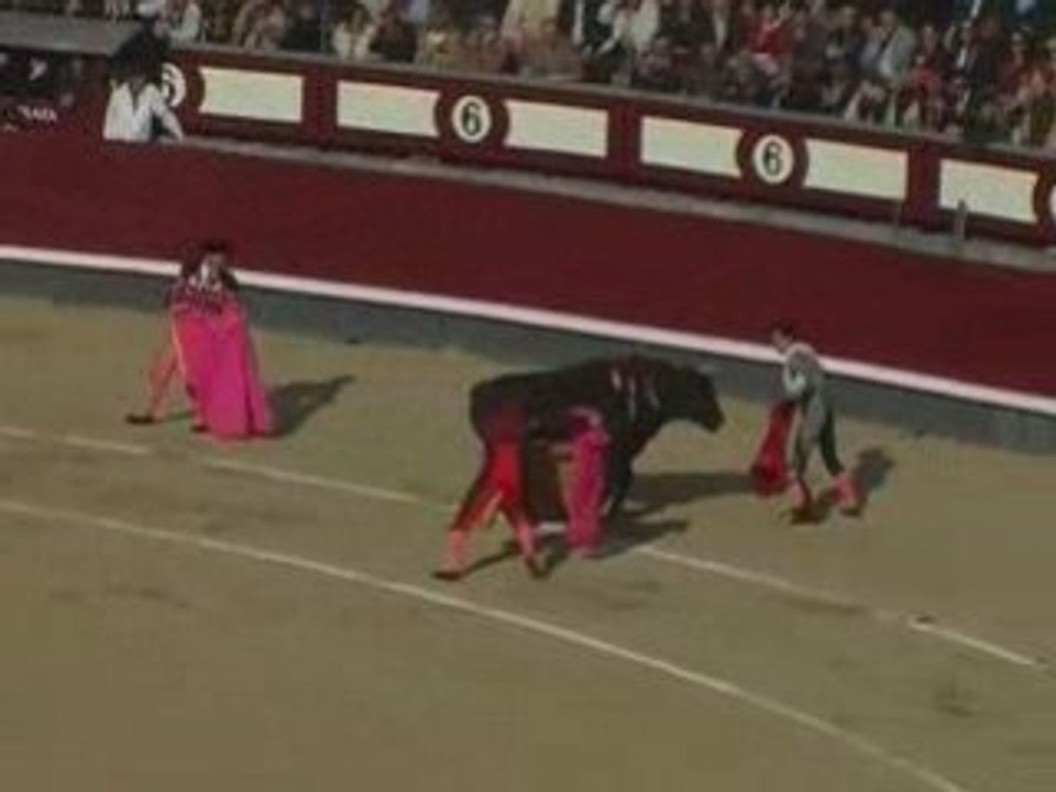 BullFIghting Toros | emptyfilm | Vazquez Delinikolas