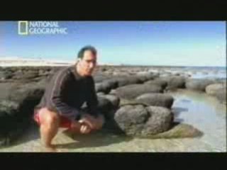 Origen de la vida: Los estromatolitos