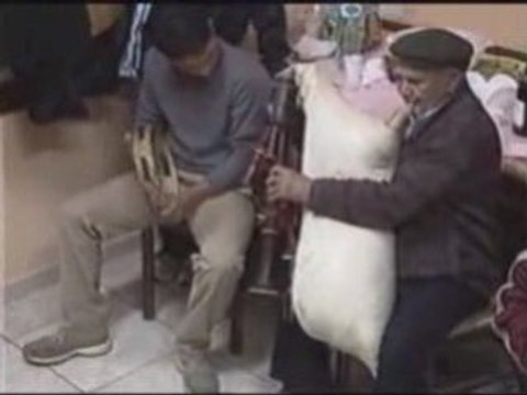 sonata a ballu popolare tradizionale zampogna tarantella