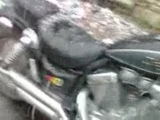 virago xv 535