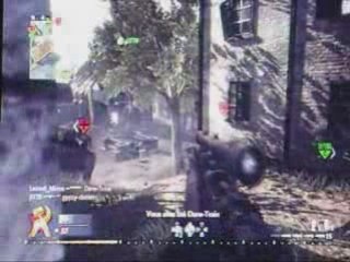FiS_LeZarD CoD : WaW Sniper; no-scop; g-shot; frags V1.0