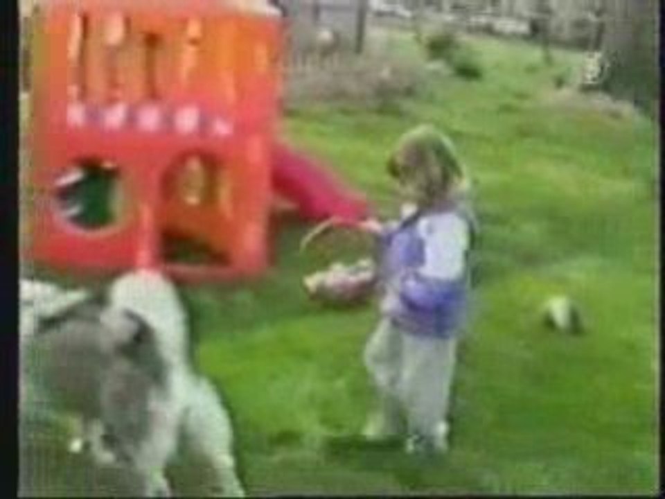 Les annimaux domestiques c'est cool