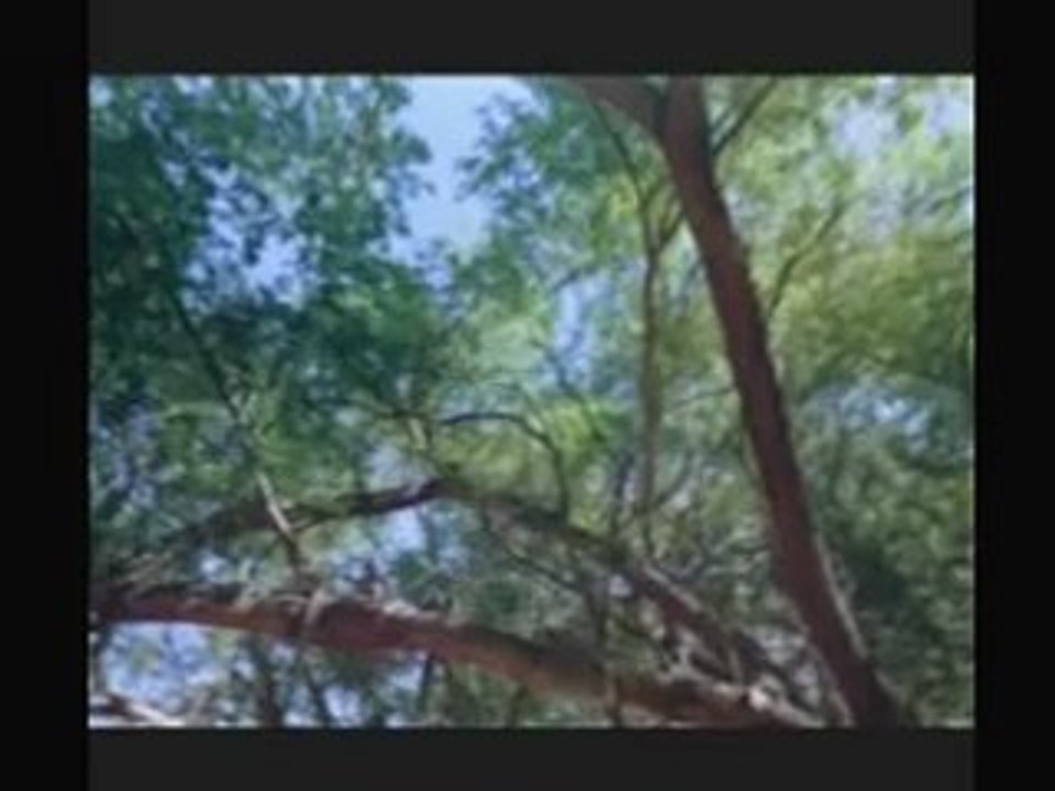 Miracle Planet 1 4/6 www.creationofuniverse.com