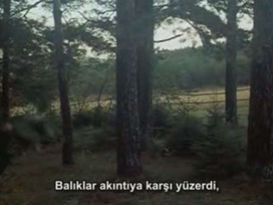 Poem from Zerkalo