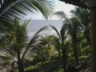 Julie - Oliver Ngoma