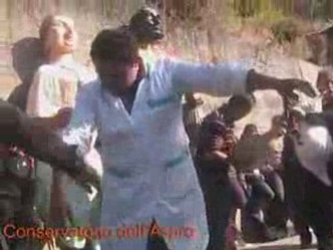 tarantella calabrese zampogna tamburello ballo viddaneddha