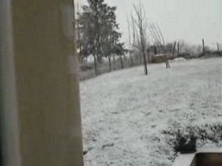 Patoune dans la neige