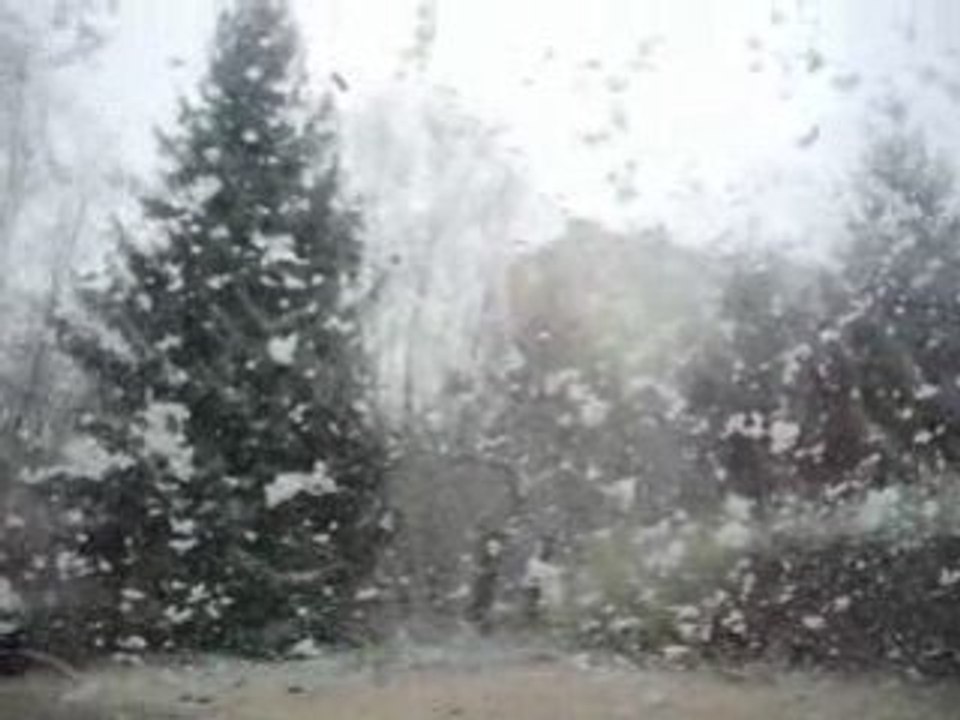 Neige Belfort