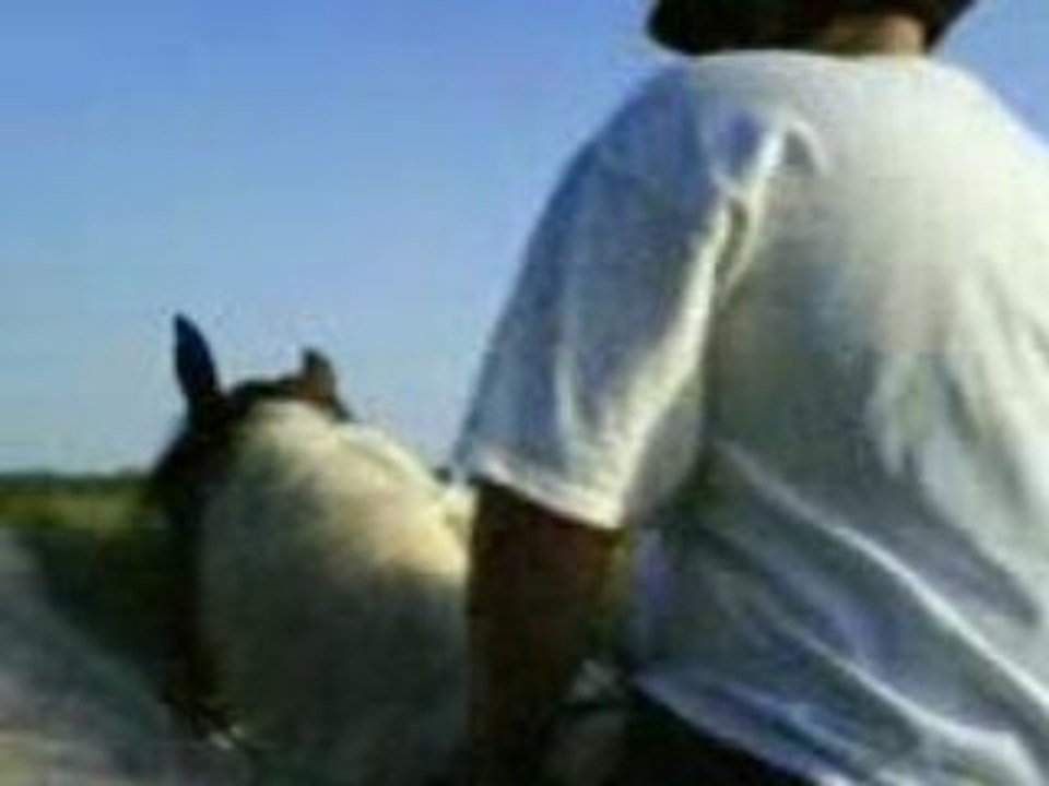 Cheval