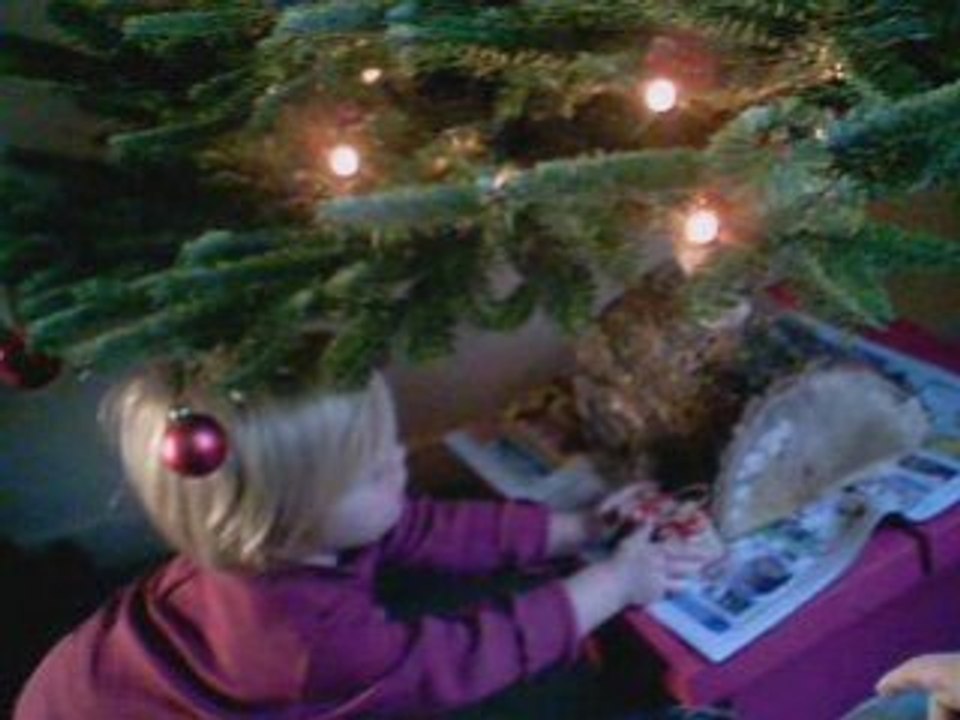 Le sapin de Noël