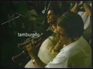 tarantella calabrese zampogna tamburello ballo viddaneddha