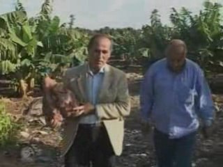 Tater-tastic: world's heaviest potato dug up in Lebanon