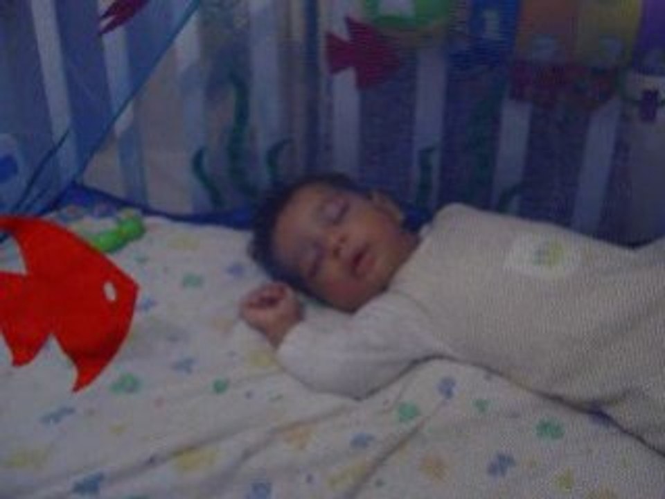 DEBuT DEC 2008
