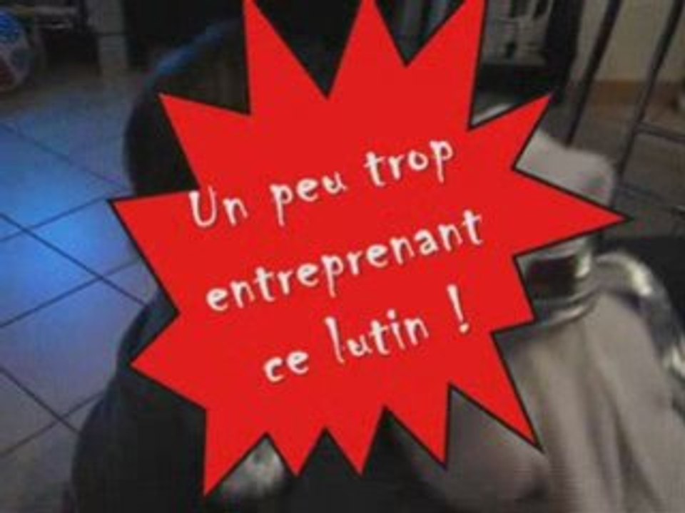 Danse avec le père noel