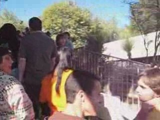 Dans la file d'attente de X2 à Six Flags