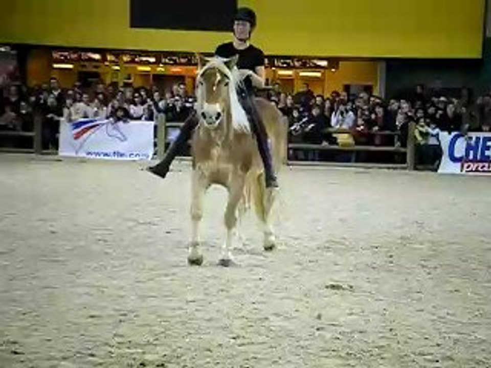 Pauline et Naiade Salon du cheval 7/12/08