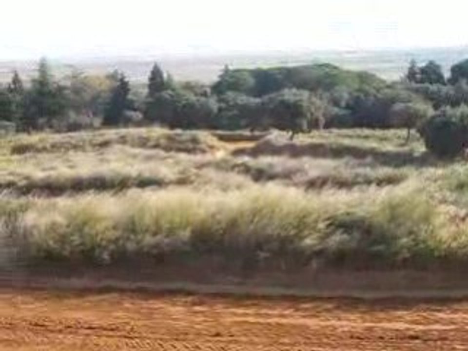 Stage pilotage subaru Gr.N 031