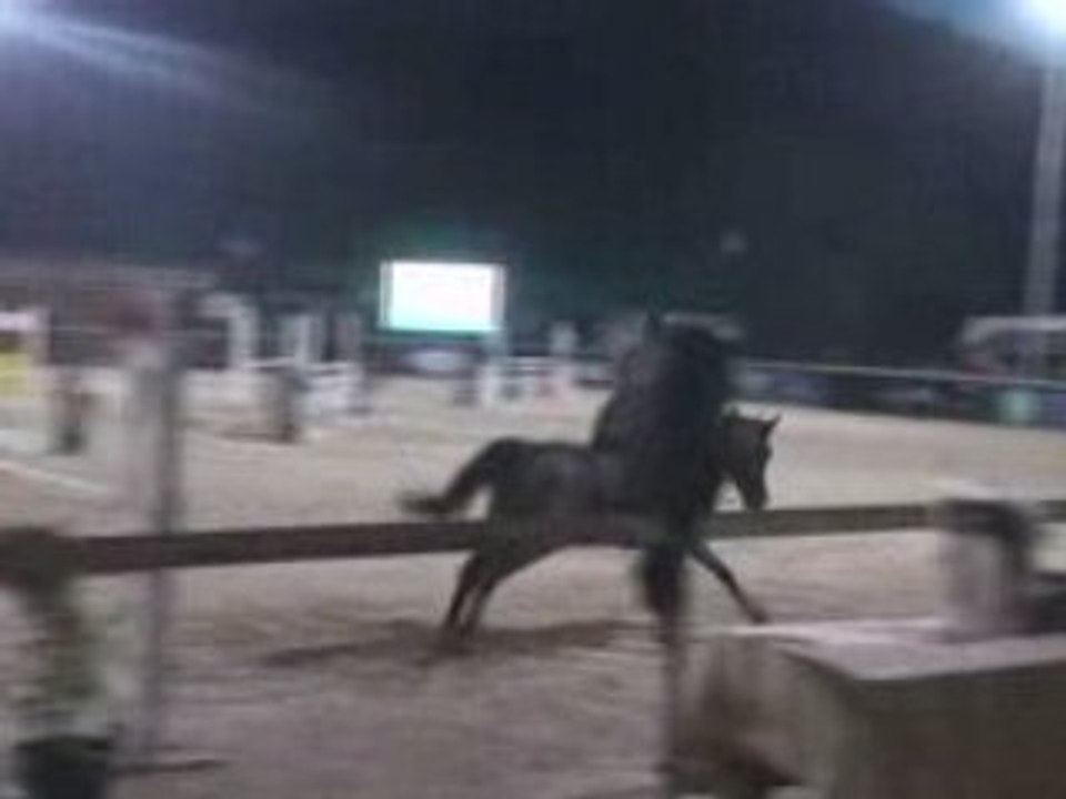 FANNY PEARL D1P MEYREUIL 06 12 08