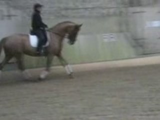 M2U00237: Key Details and Overview