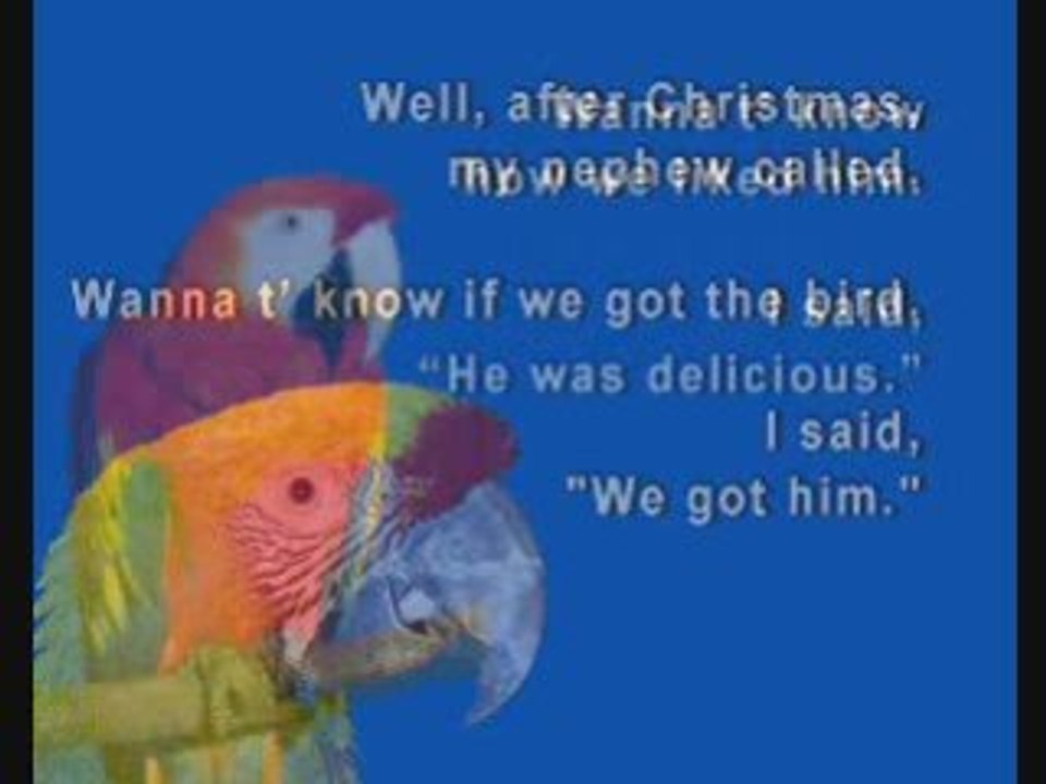 BIRD FOR CHRISMAS