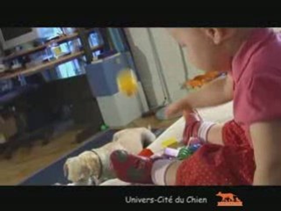 Prevention morsures de chien