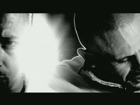 400 HYENES CRIMINO-HYENES Haute Qualité