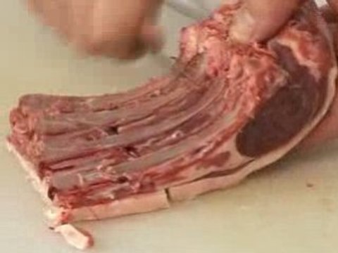 manchonner carre agneau