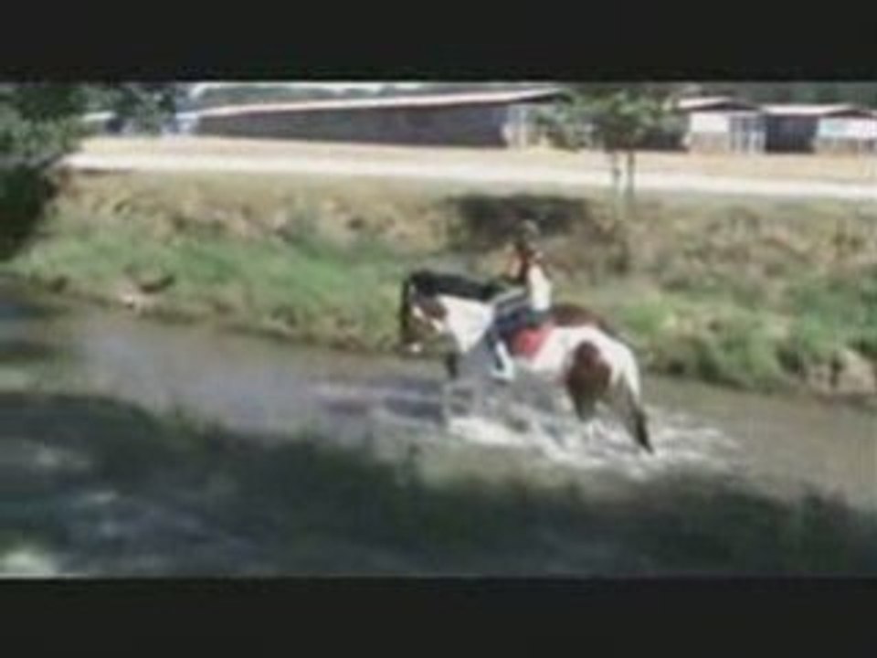 Les cavaliers du Moulin à Lamotte-Beuvron
