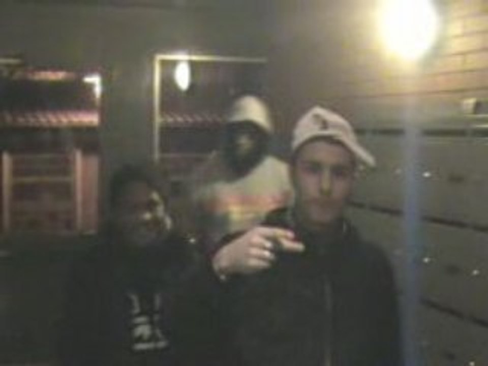 Freestyle