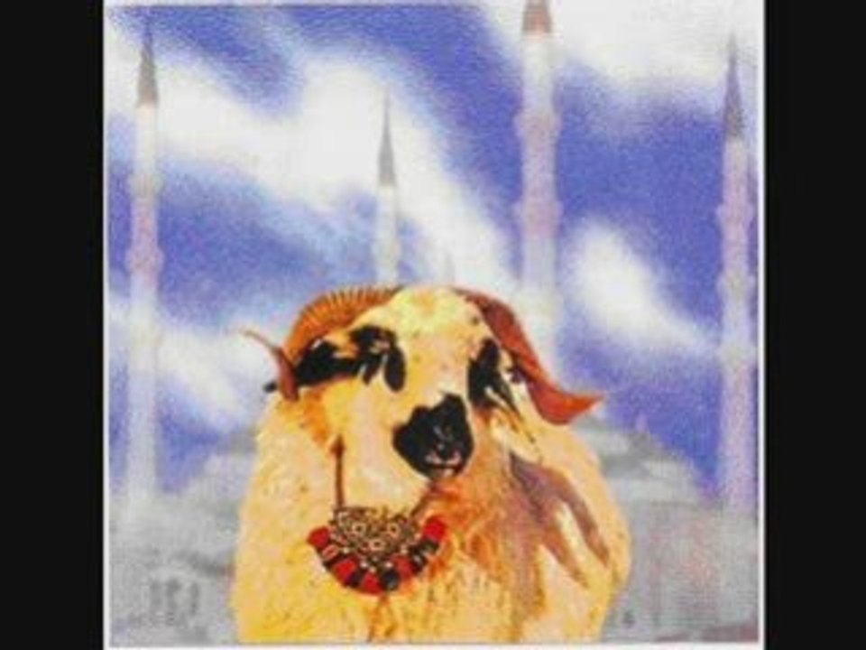 kurban bayram sohbeti