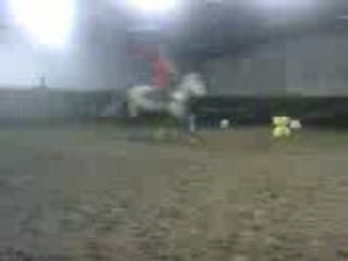 jackpot eldrocol roping