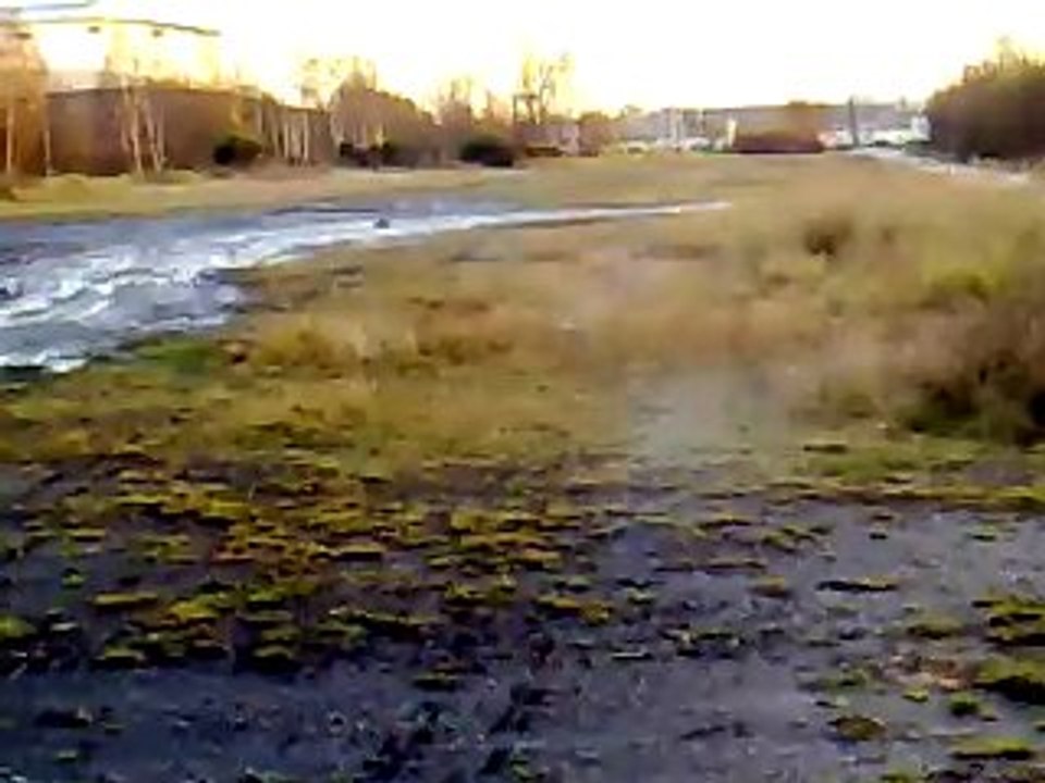 suite de la sortie au canal