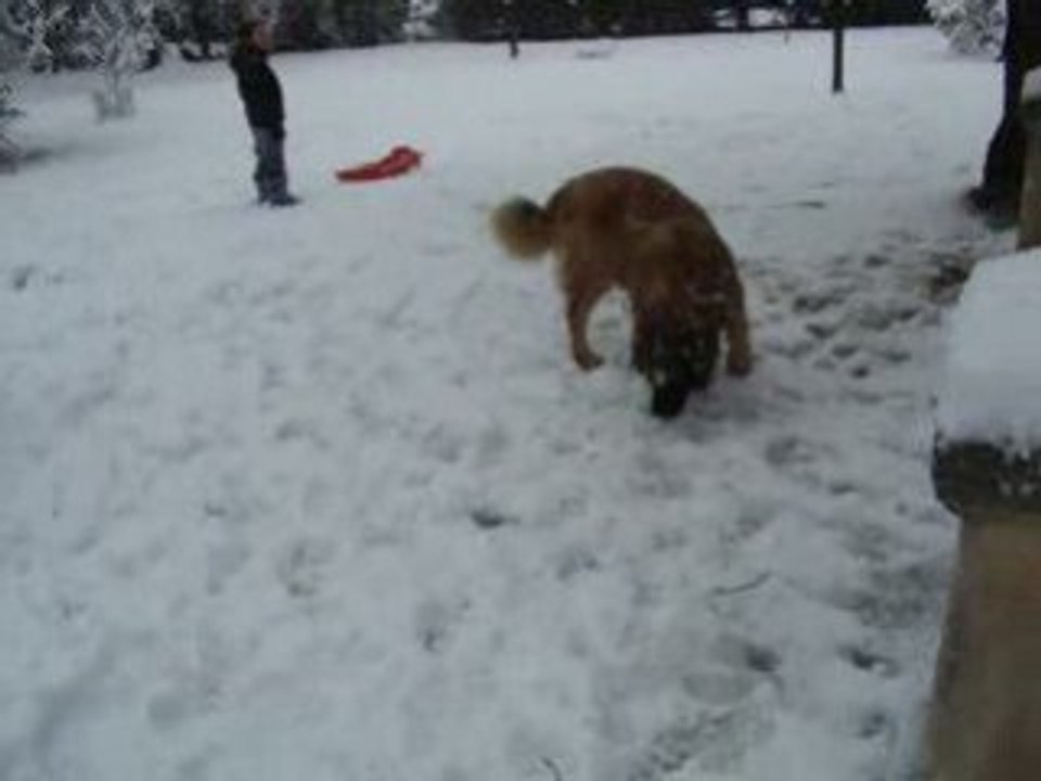 10 decembre 2008 007