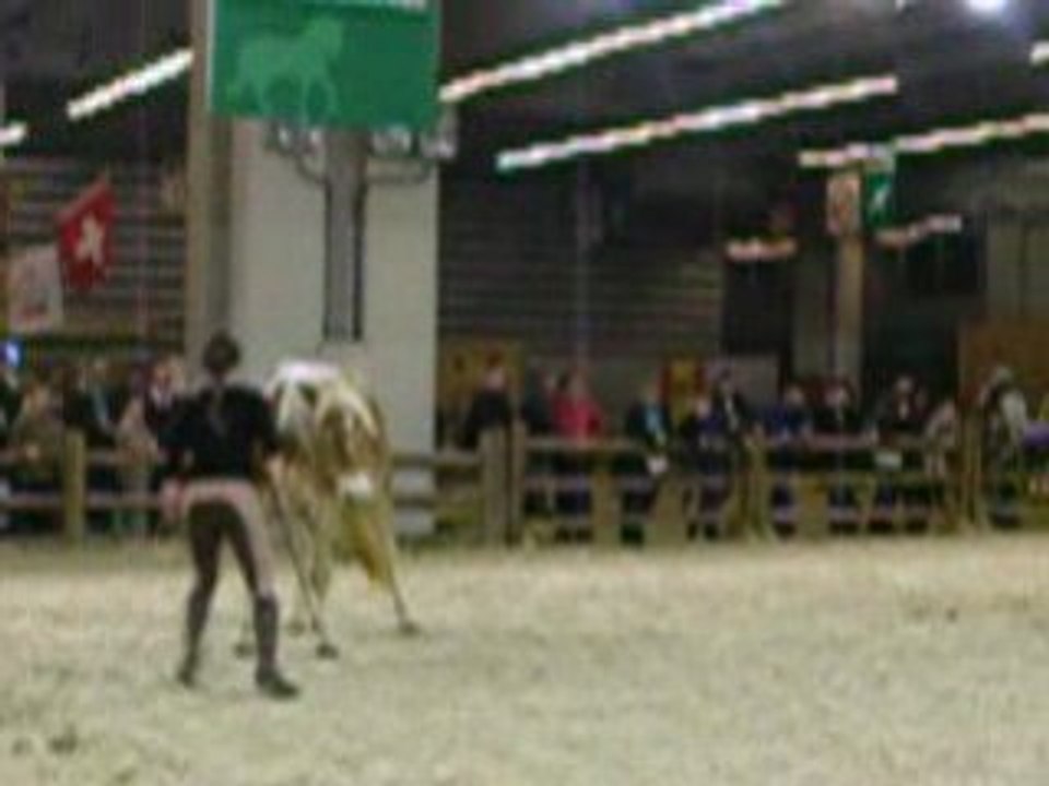 Pauline et Naiade (2) salon du cheval 2008