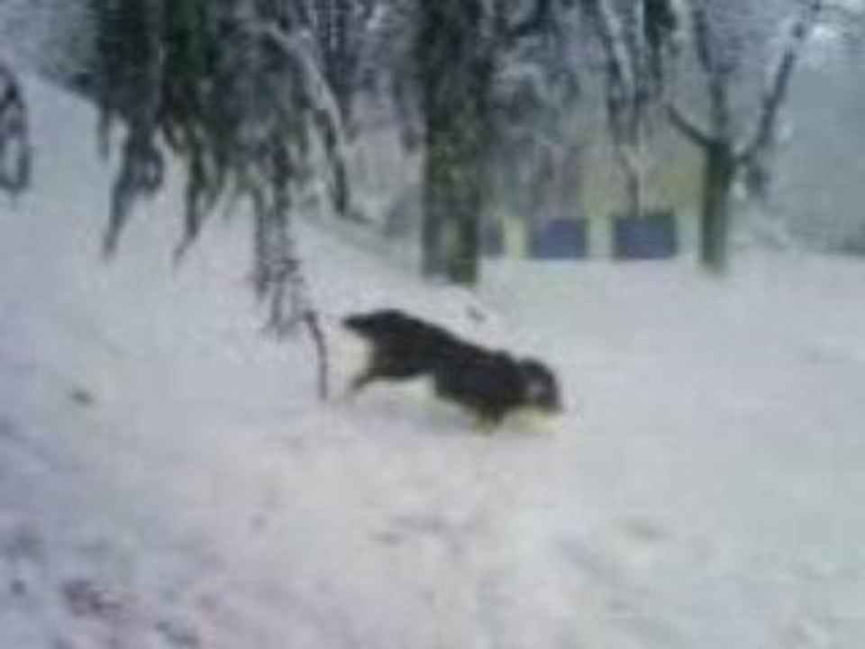 Cheyenn_a_la_neige007