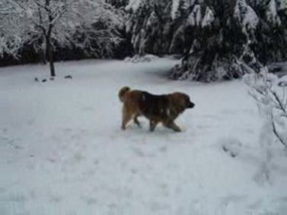 10 decembre 2008 006